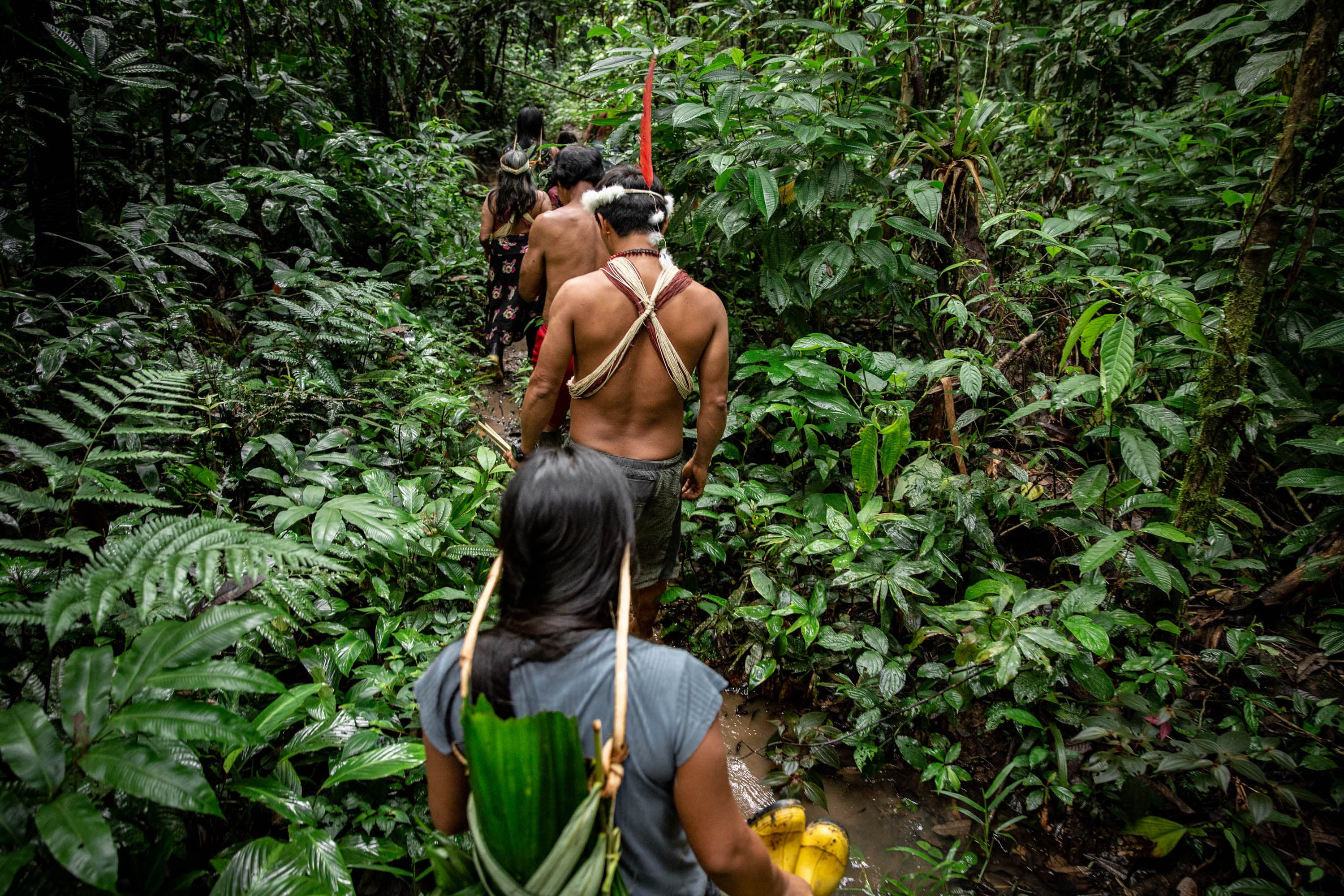 Indigenous guides leading a trek through dense rainforest, carrying traditional tools and supplies amid lush vegetation.