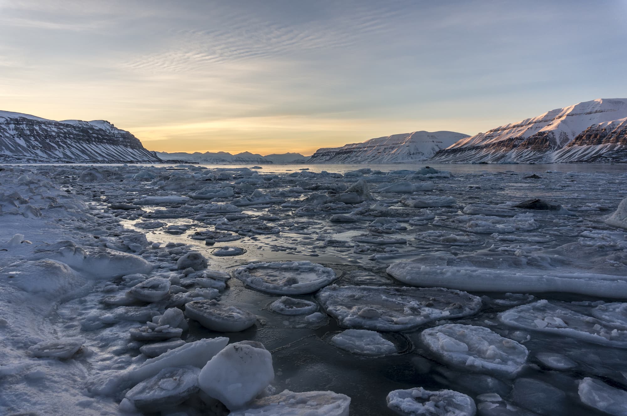 Icy fjord landscape at sunset, with broken sea ice in foreground and snow-capped mountains in background under pastel sky.