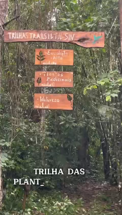 The rainy days here in Iracambi allowed the signposts to undergo an incredible renovation, through the work of volunteers. The trails have been carefully explored so that the new signs provide accurate guidance, making the route more meaningful and enjoyable, especially for the students who frequently explore the trails when taking part in the environmental education project.